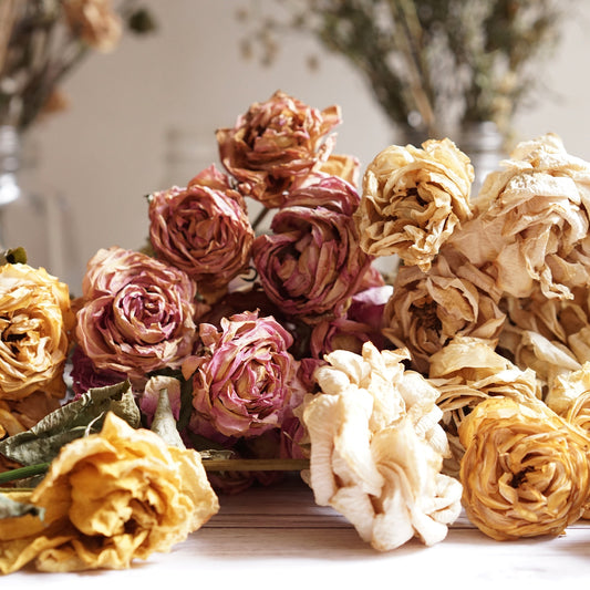 The Ultimate Guide to Preserving Dried Flowers: Tips and Tricks for Long-Lasting Blooms