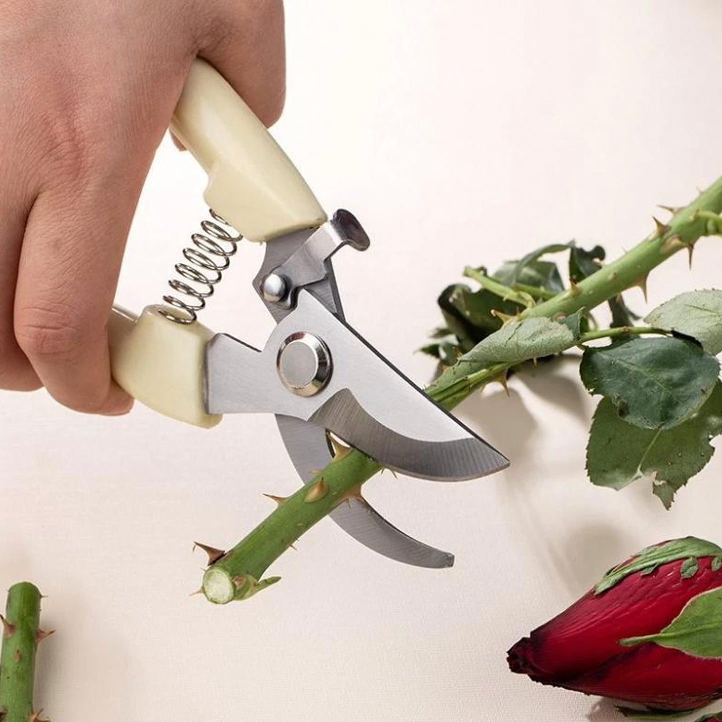 Garden Pruning Shears