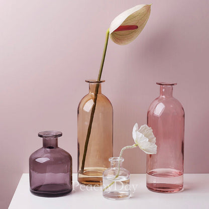 Colorful Glass Bottle Vases | 6 Colors