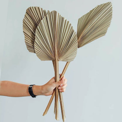 Dried Palms tropical wedding home decor wedding bouquet flower arrangements boho minimal farmhouse home decor