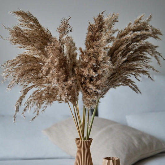 Dried Pampas Grass Brown Bunch home decor wedding bouquet flower arrangements boho minimal farmhouse home decor