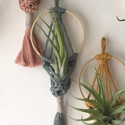 Wall Hanging Macrame Air Plant Hanger