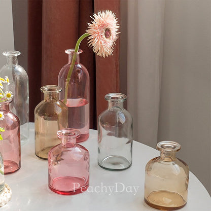 Colorful Glass Bottle Vases | 6 Colors