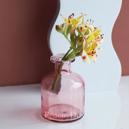 Colorful Glass Bottle Vases | 6 Colors