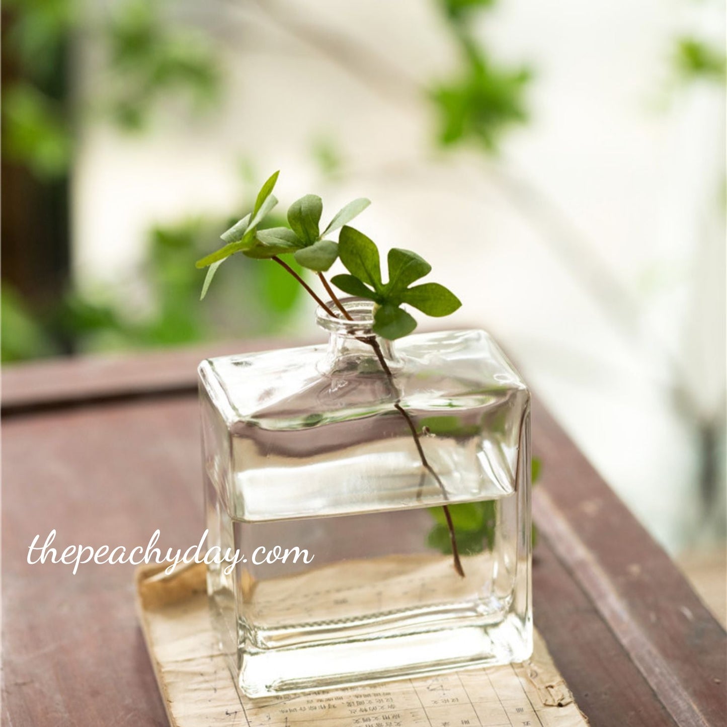 Clear Glass Bottle Vase