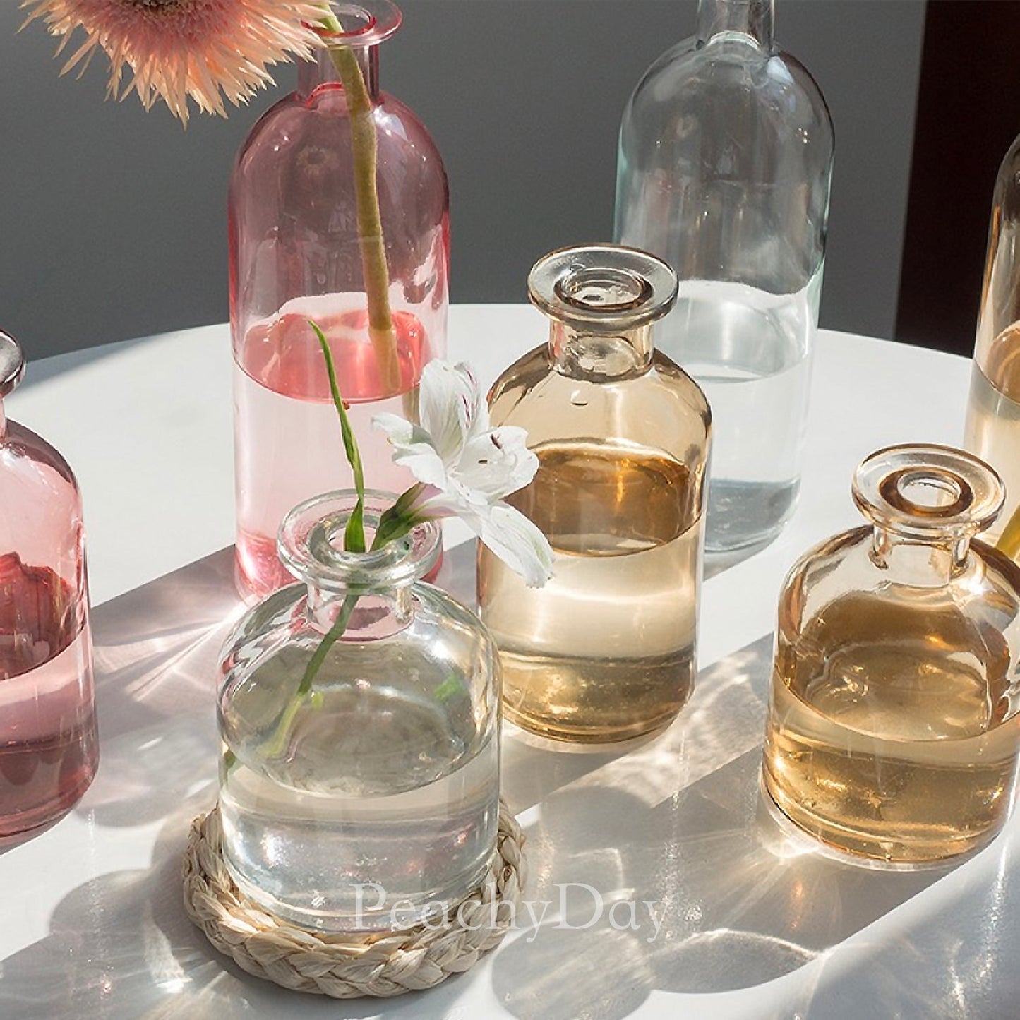 Colorful Glass Bottle Vases | 6 Colors