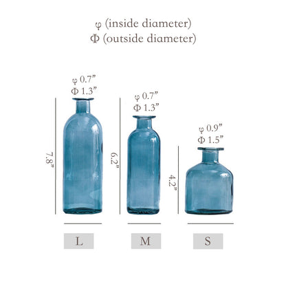 Colorful Glass Bottle Vases | 6 Colors