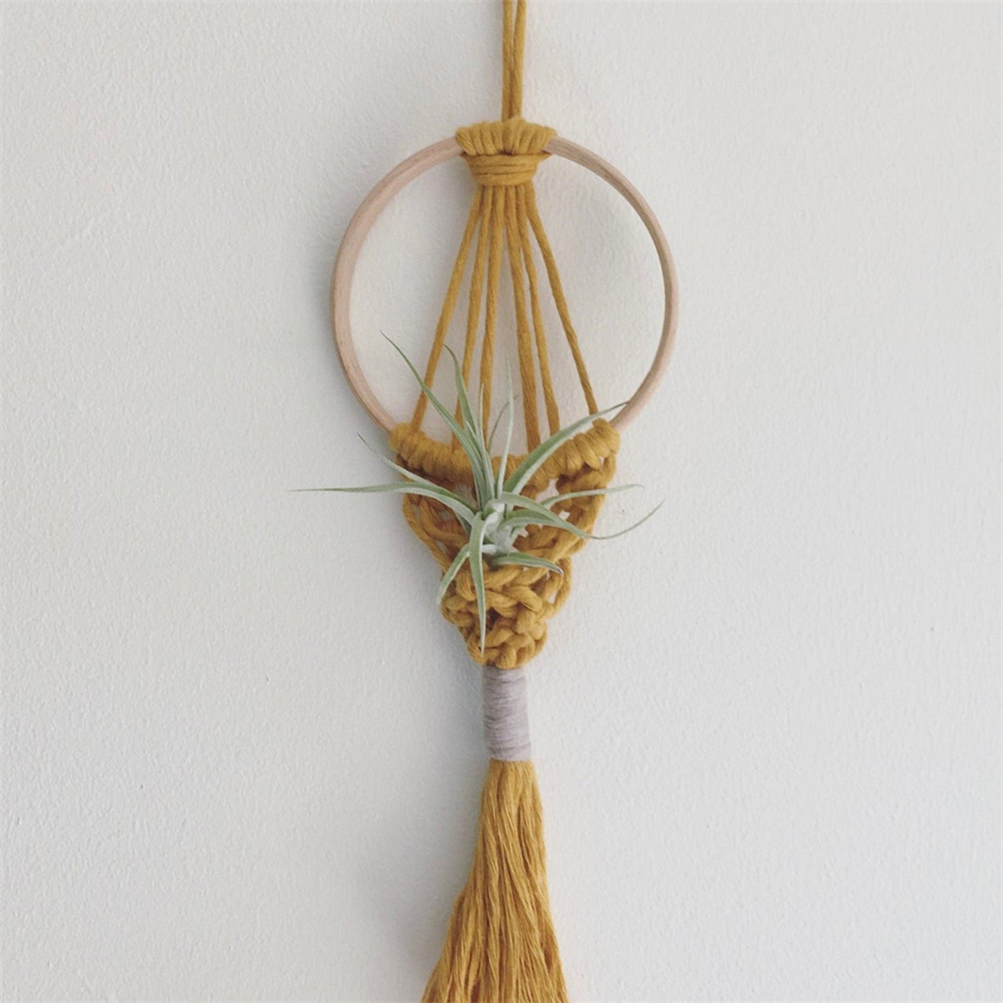 Wall Hanging Macrame Air Plant Hanger