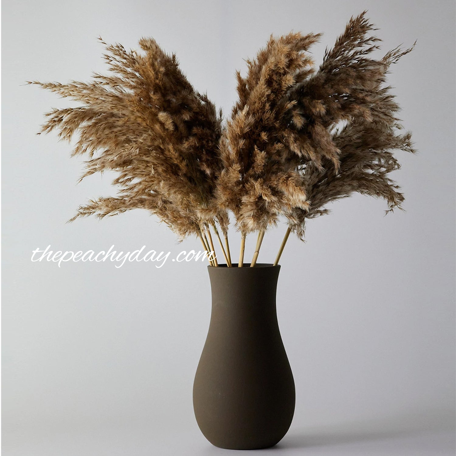 Dried Pampas Grass Brown Bunch home decor wedding bouquet flower arrangements boho minimal farmhouse home decor