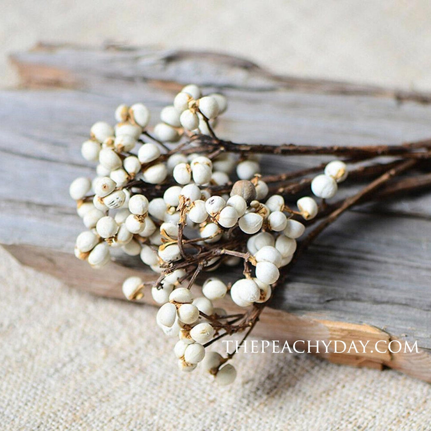 Dried Tallow Berries Bunch home decor wedding bouquet flower arrangements boho minimal farmhouse home decor