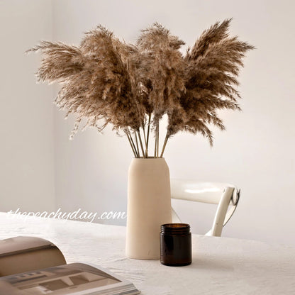 Dried Pampas Grass Brown Bunch home decor wedding bouquet flower arrangements boho minimal farmhouse home decor