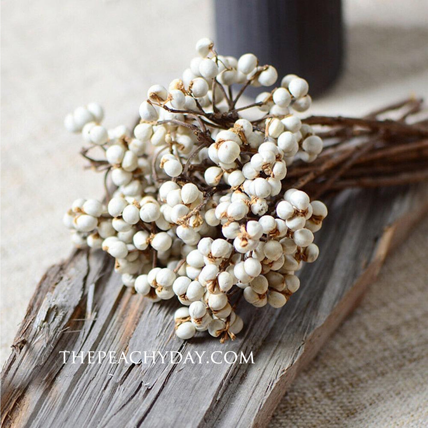 Dried Tallow Berries Bunch home decor wedding bouquet flower arrangements boho minimal farmhouse home decor