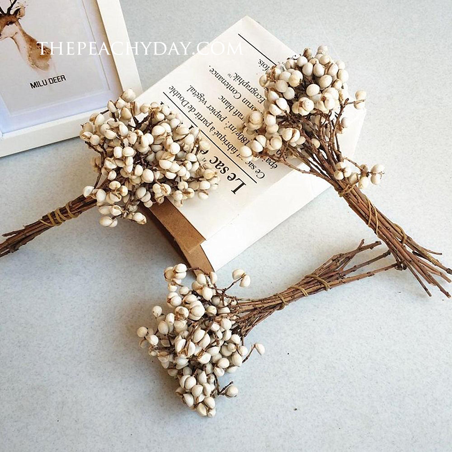 Dried Tallow Berries Bunch home decor wedding bouquet flower arrangements boho minimal farmhouse home decor