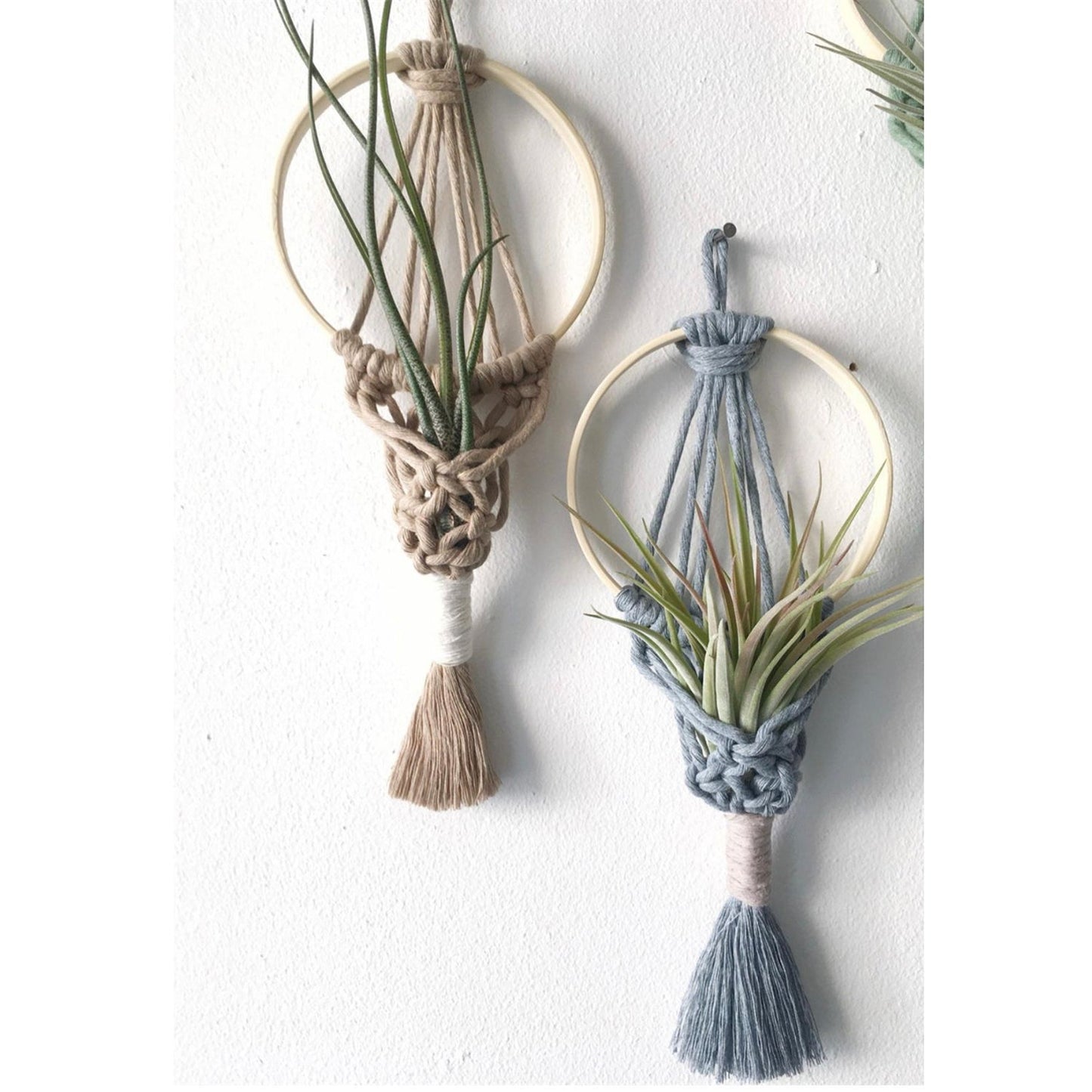 Wall Hanging Macrame Air Plant Hanger