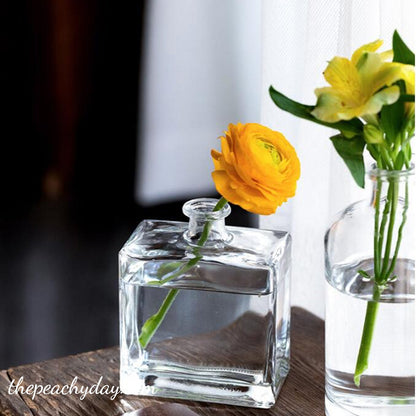 Clear Glass Bottle Vase