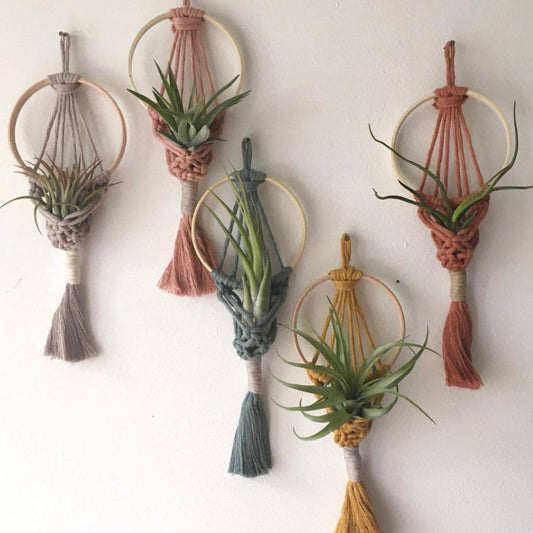 Wall Hanging Macrame Air Plant Hanger