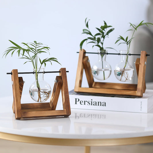 Plant Terrarium with Wood Stand