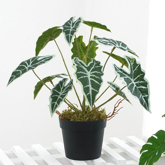 Artificial Alocasia Amazonica Plant 10.6"