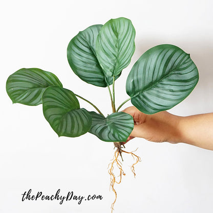 Artificial Caladium Orbifolia Plant