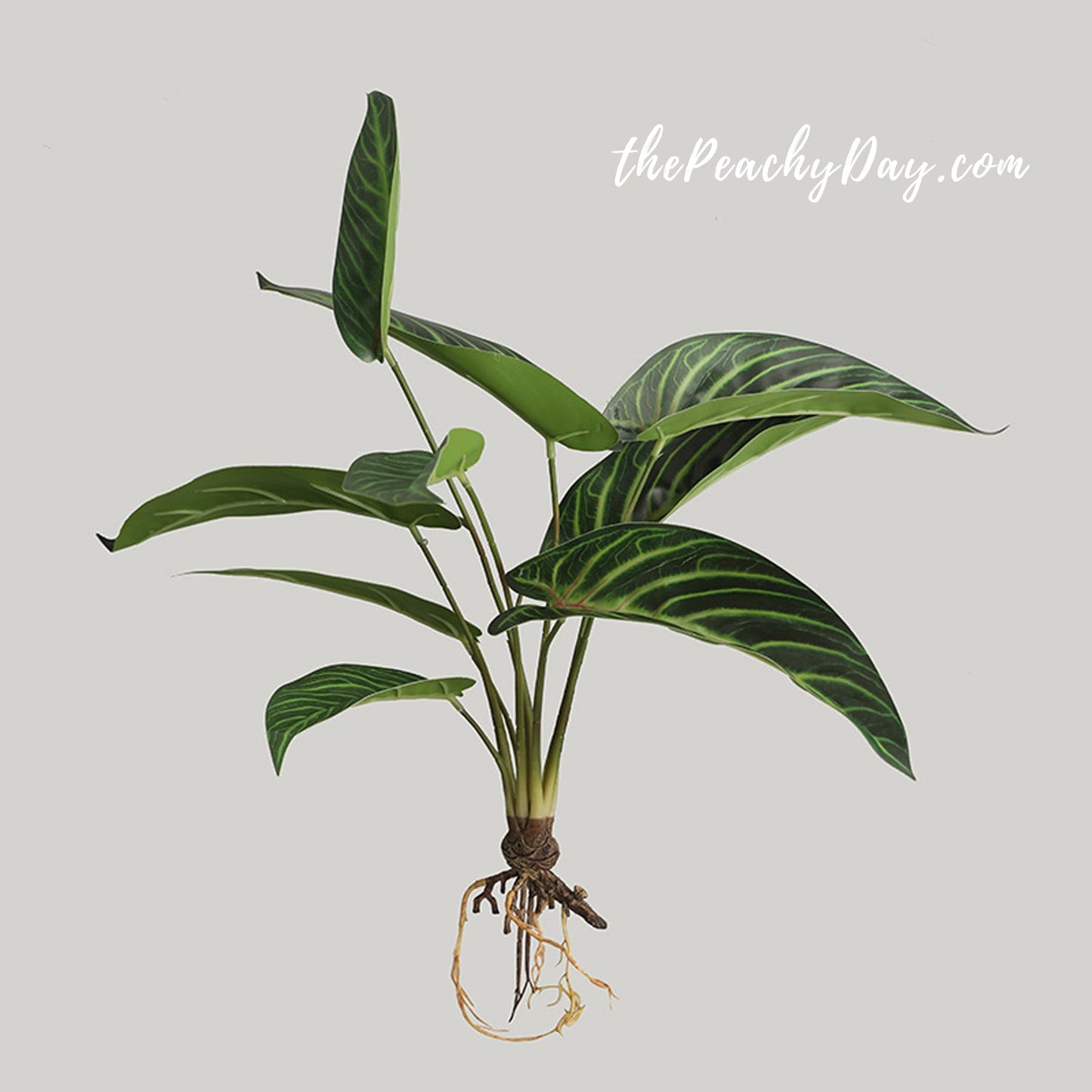 21.6" Artificial Maranta Plant