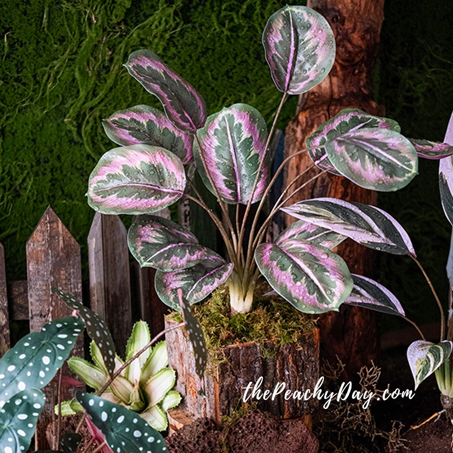 Artificial Medallion Prayer Plant 22.4"