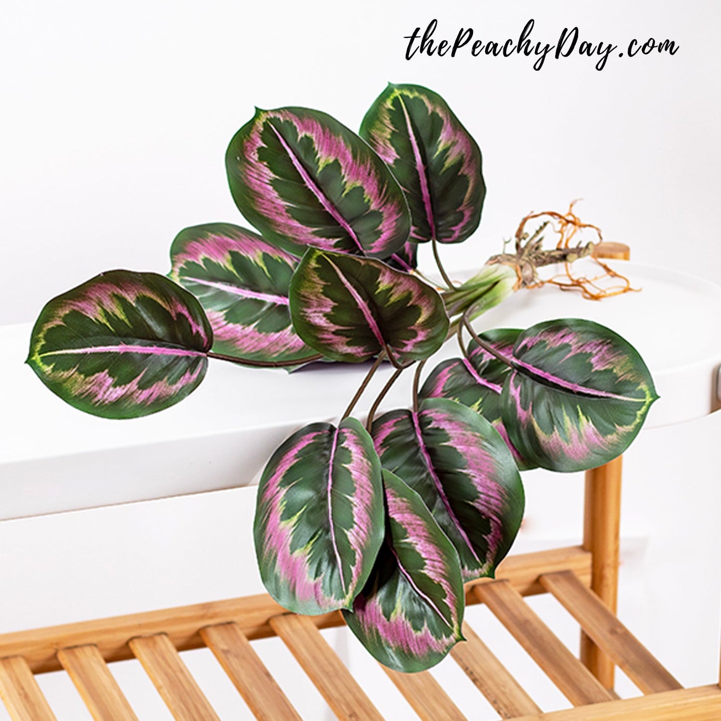 Artificial Medallion Prayer Plant 22.4"