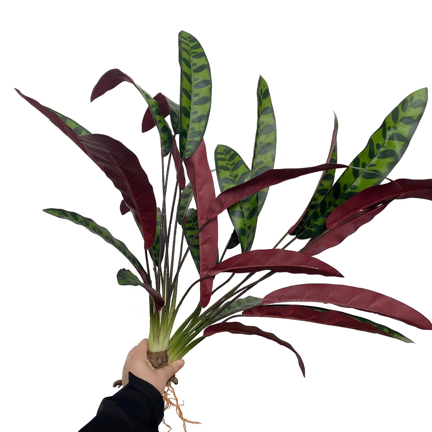 27.5" Artificial Rattlesnake Plant