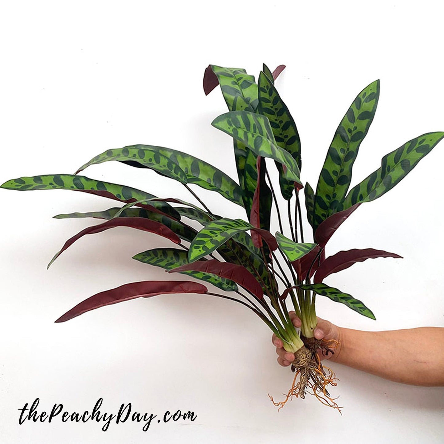 27.5" Artificial Rattlesnake Plant