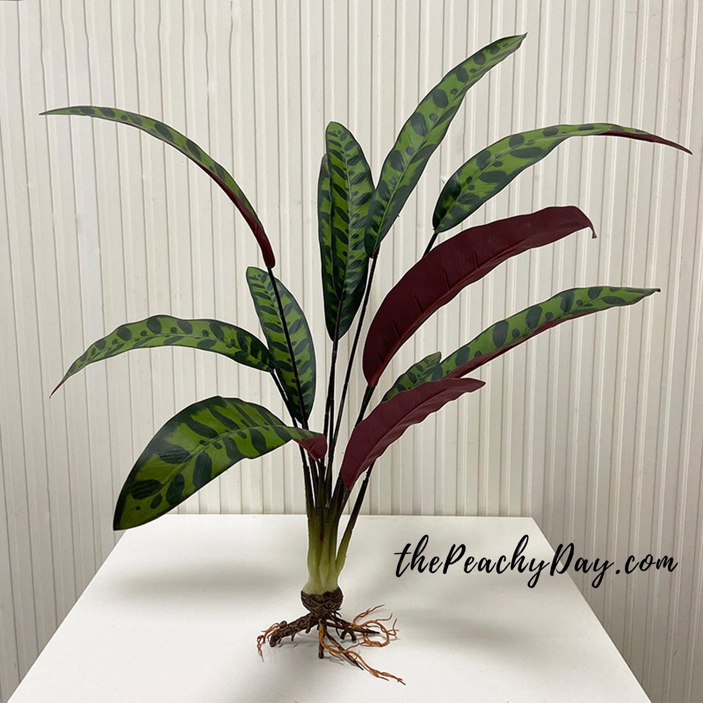 27.5" Artificial Rattlesnake Plant