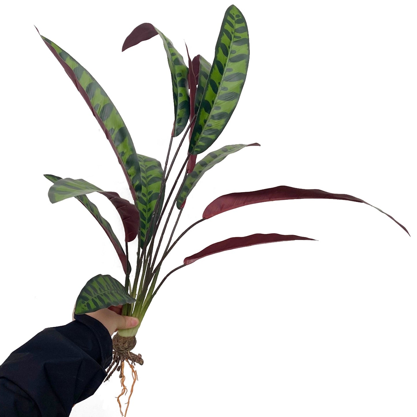 27.5" Artificial Rattlesnake Plant