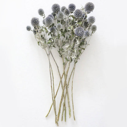 Blue Dried Echinops Globe Thistles | 6 Colors