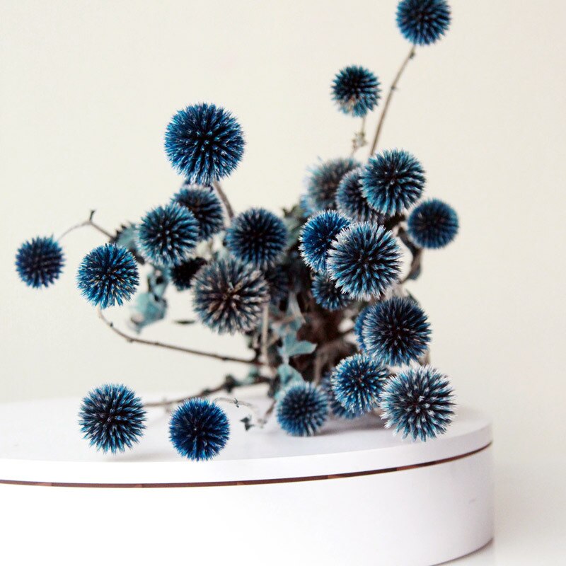 Blue Dried Echinops Globe Thistles | 6 Colors