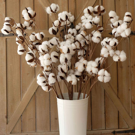 20" Natural Cotton Stem