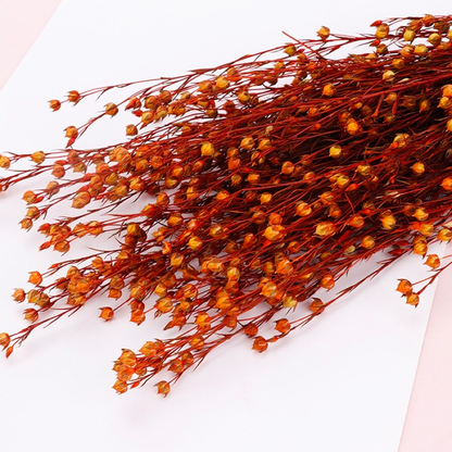 2.8oz Dried Flax Grass | 11 Colors