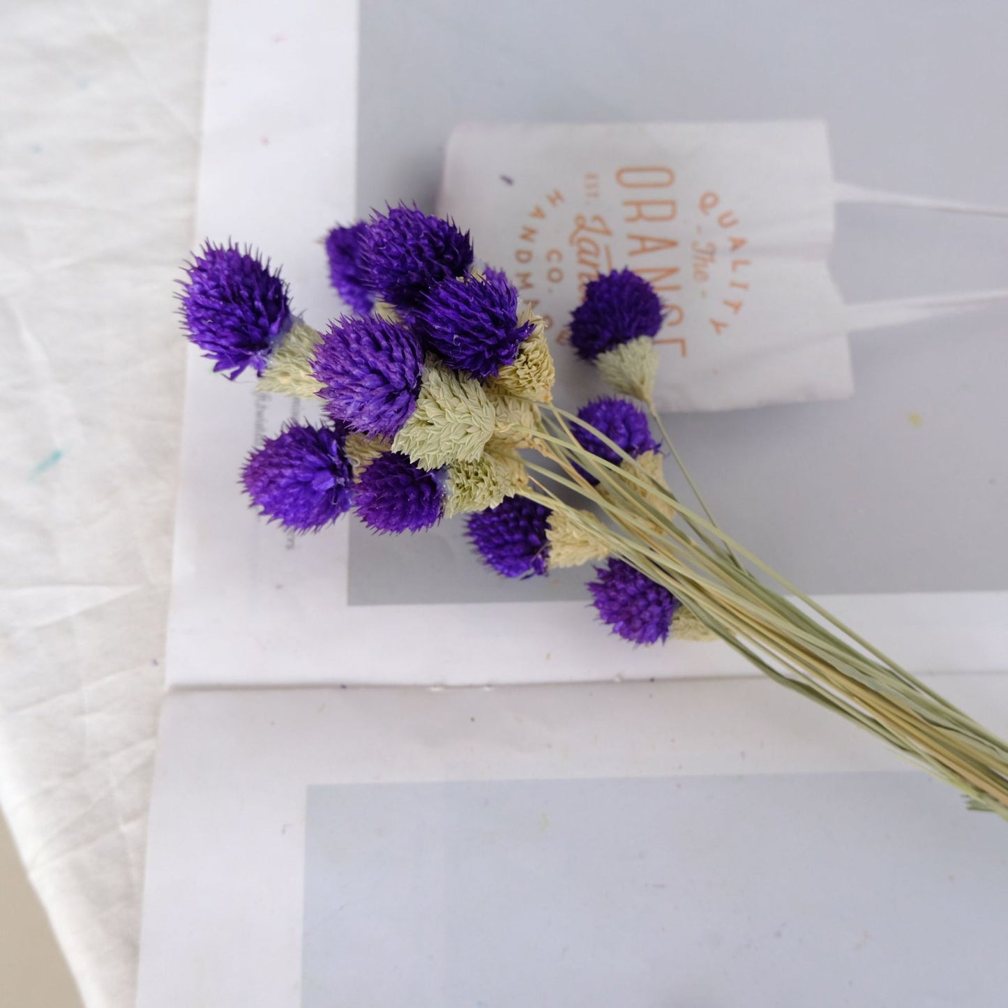 Bundle of 15 Dried Globe Amaranth | 8 Colors