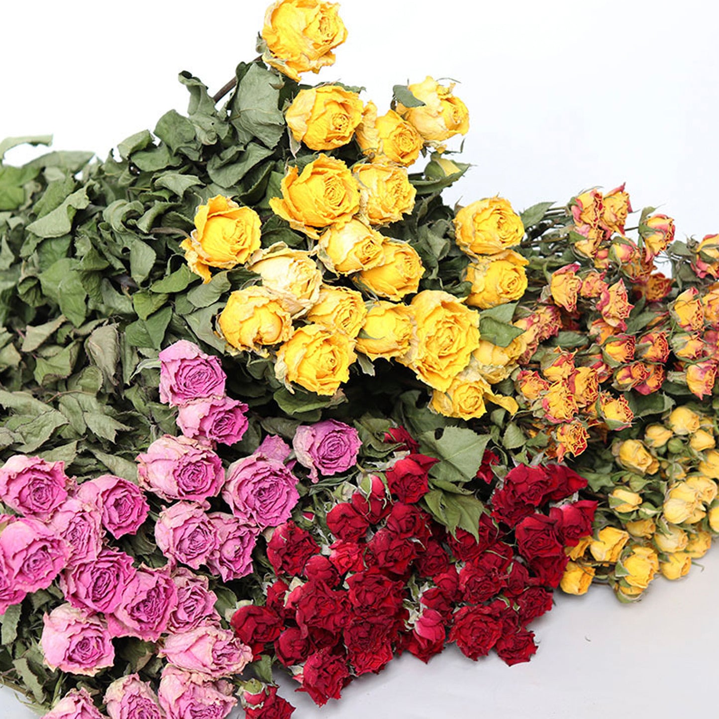 4.2oz Dried Rose Bouquet | 13 Colors