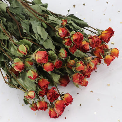 4.2oz Dried Rose Bouquet | 13 Colors