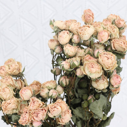 4.2oz Dried Rose Bouquet | 13 Colors