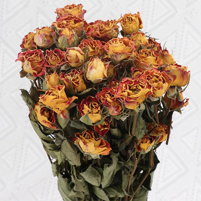 4.2oz Dried Rose Bouquet | 13 Colors