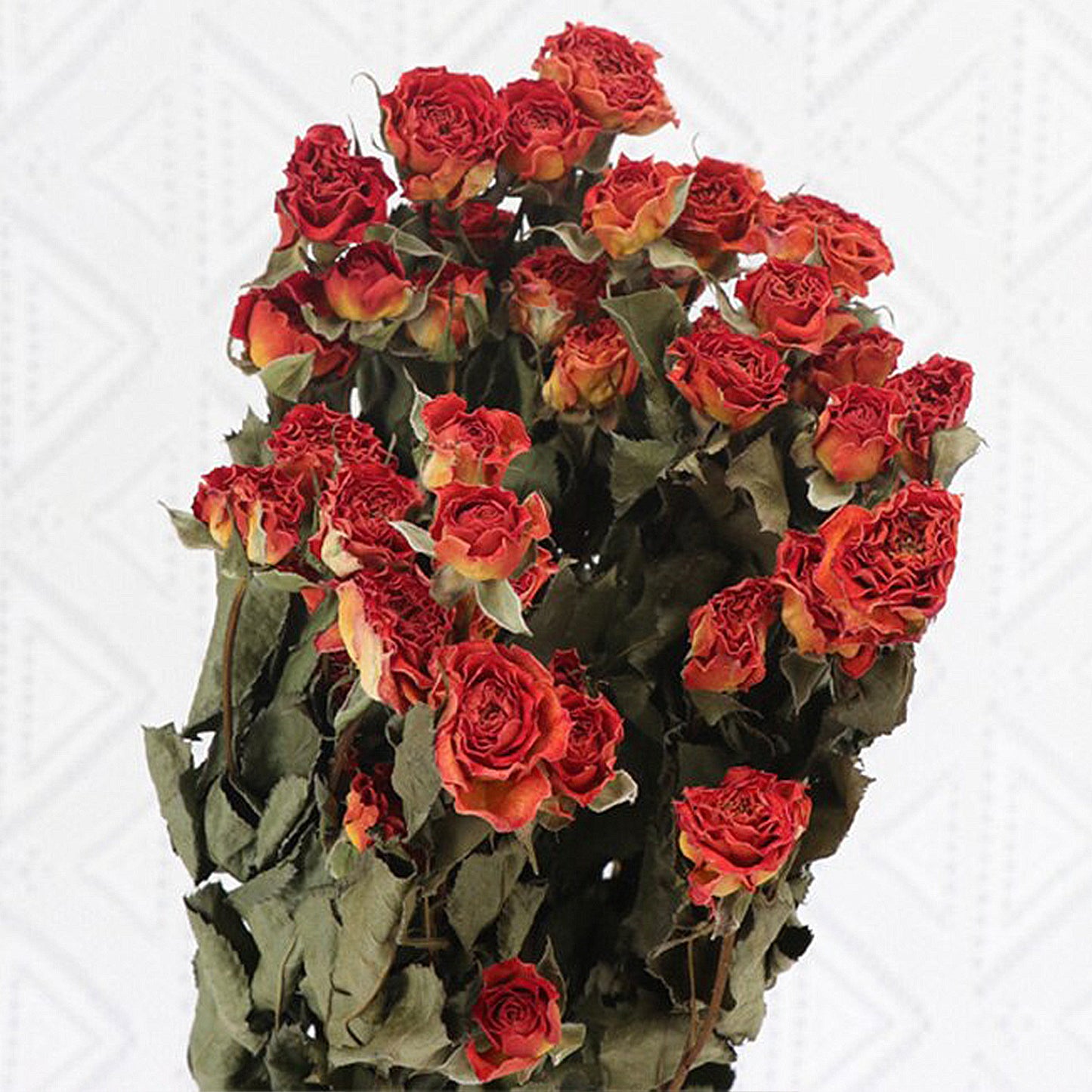 4.2oz Dried Rose Bouquet | 13 Colors