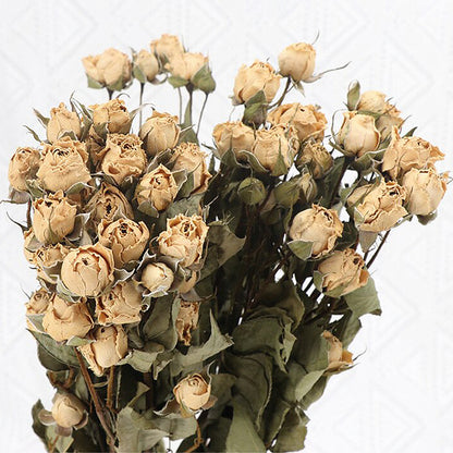 4.2oz Dried Rose Bouquet | 13 Colors