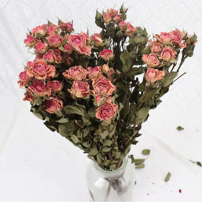 4.2oz Dried Rose Bouquet | 13 Colors