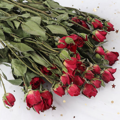 4.2oz Dried Rose Bouquet | 13 Colors