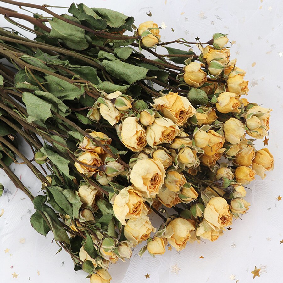 4.2oz Dried Rose Bouquet | 13 Colors