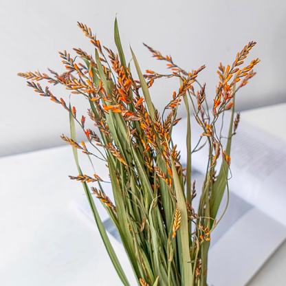 Bundle of 10 Dried Scarlet Renanthera Flowers 23.6"