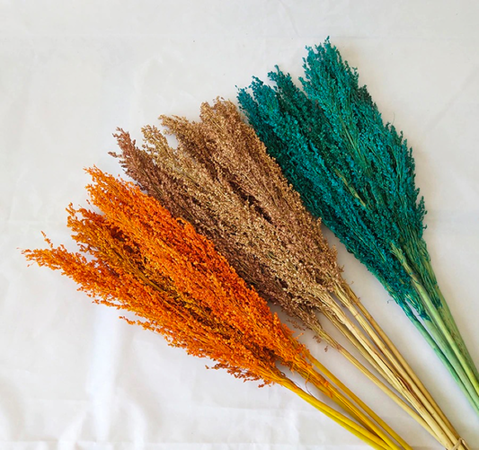 Bundle of 5 Dried Sorghum Grass | 7 Colors