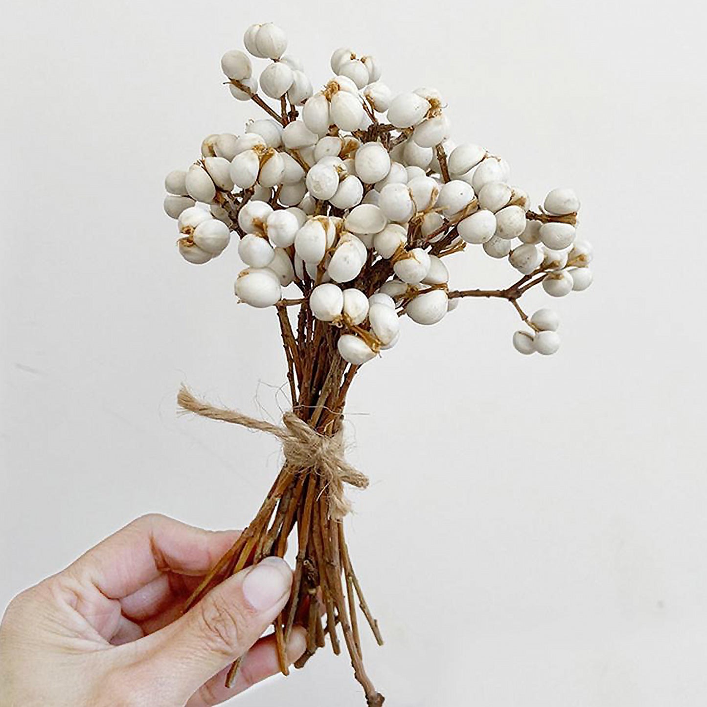 White Ivory Dried Flowers & Grasses