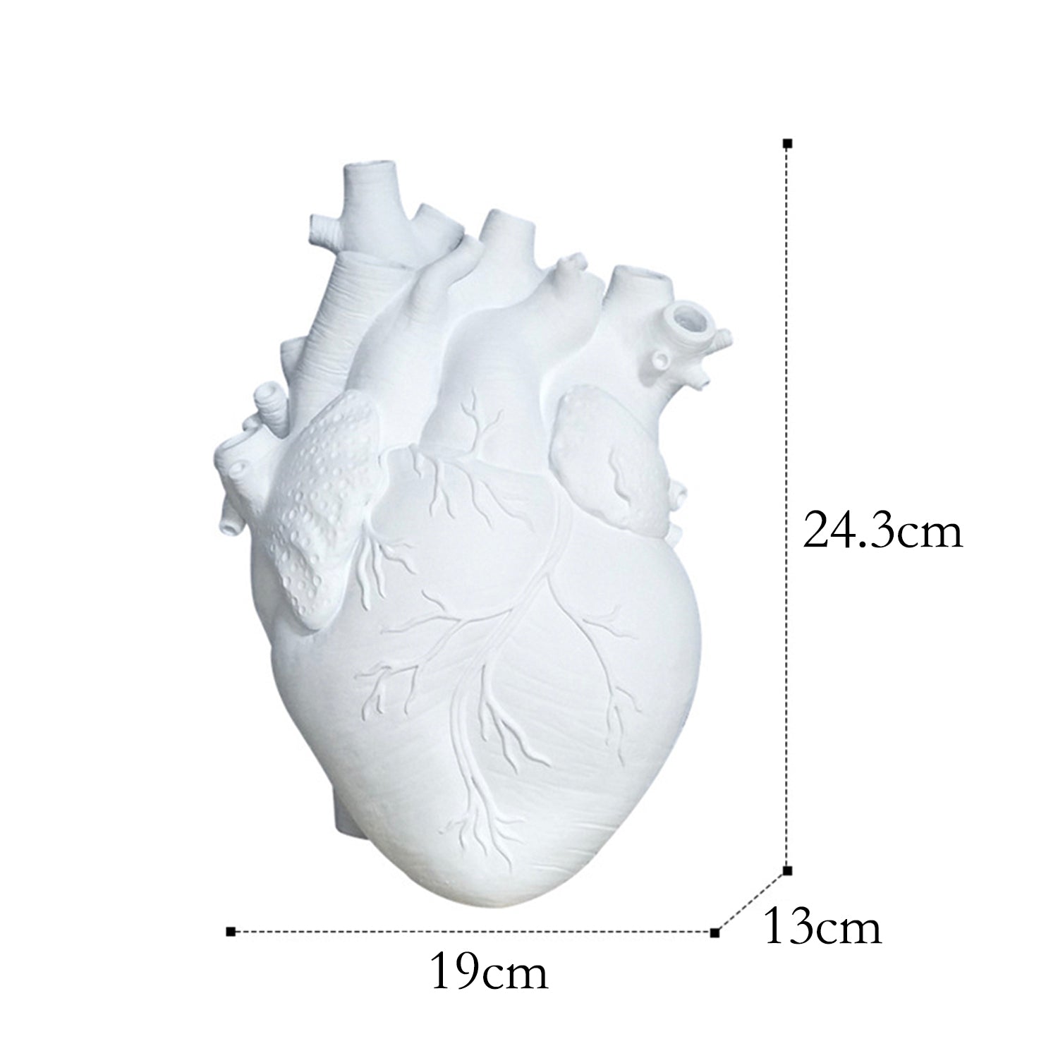 Resin Anatomical Heart Vase decorative abstract aesthetic vase