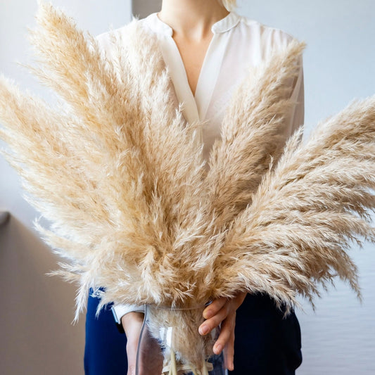 Large Dried Pampas Grass 31"