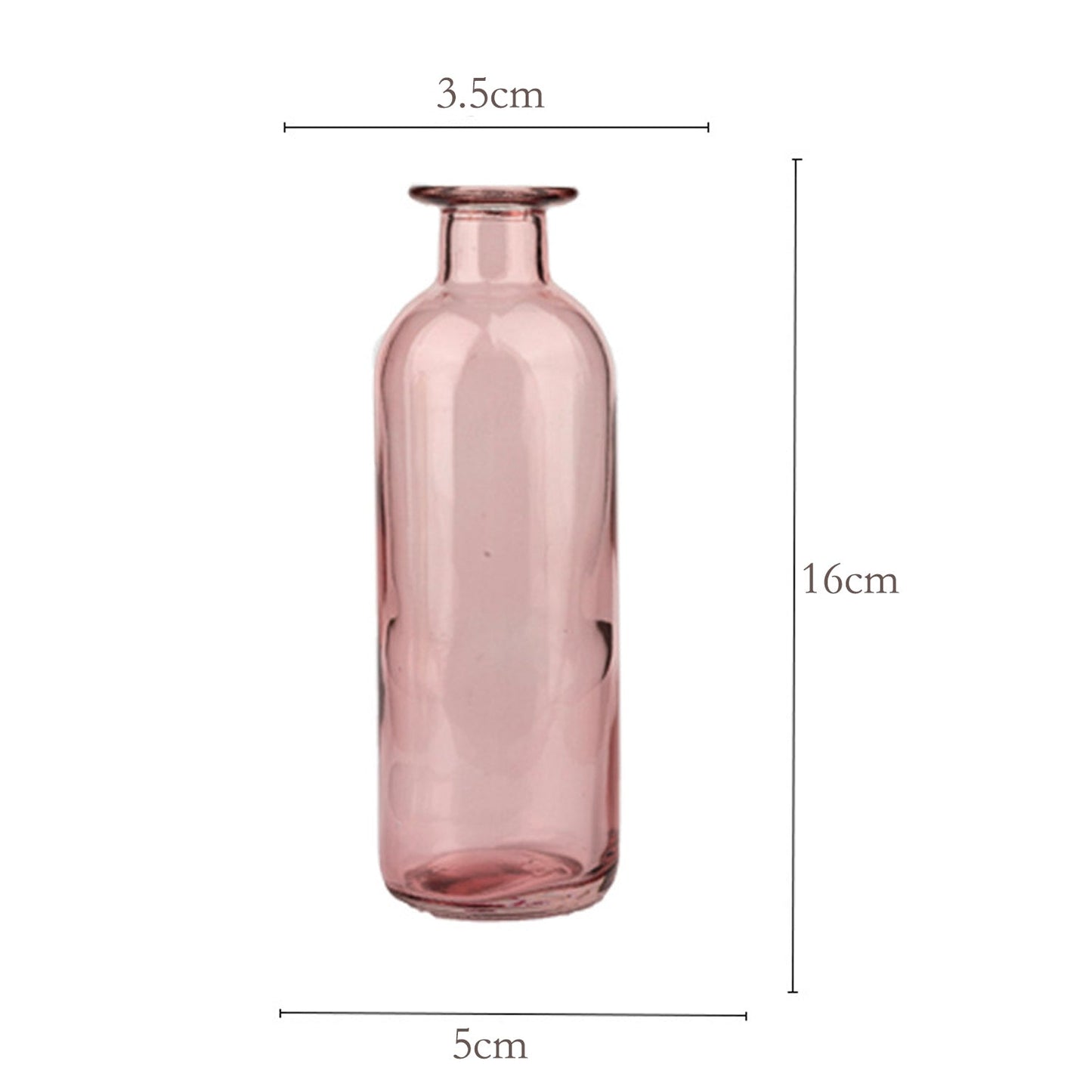 Colorful Glass Bottle Vases | 6 Colors